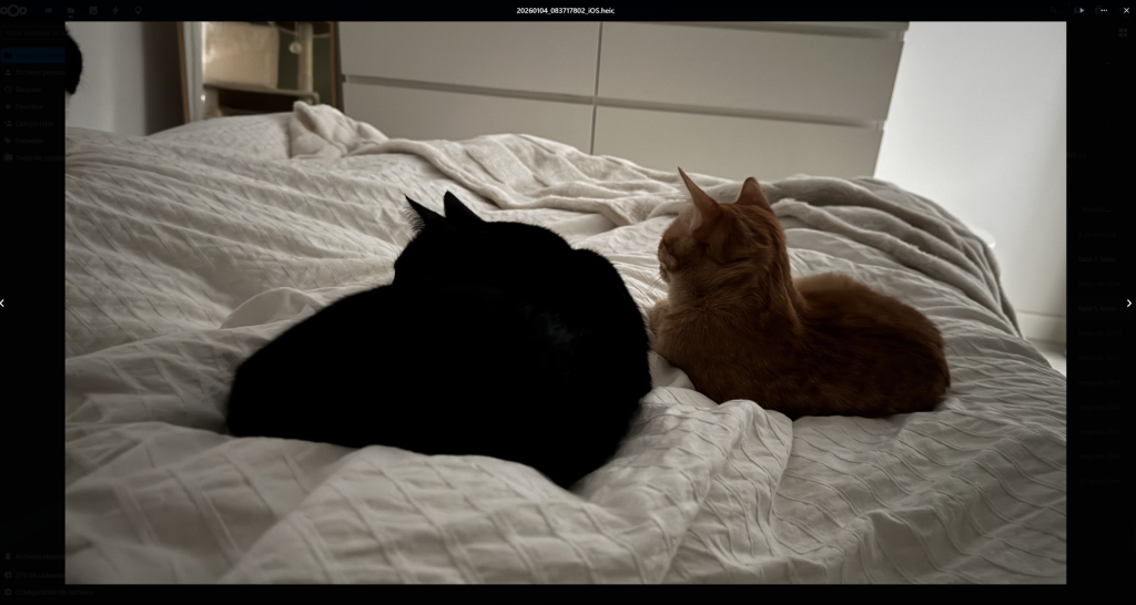 Captura de la previsualización de una imagen HEIC en la interfaz web de Nextcloud